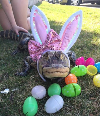 25 Horrifying Easter Bunnies That Will Keep You From Ever Sleeping Again