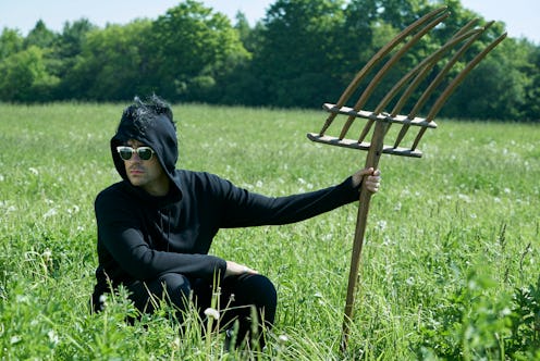 David Rose, Schitt's Creek, Pop TV