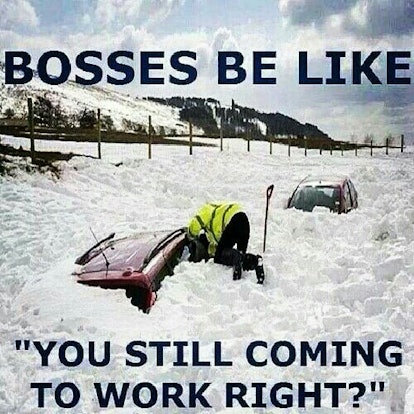 10 Memes About Snow &amp; Work That Every Millennial Can Relate To