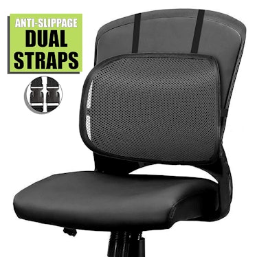 Easy Posture Brands Lumbar Back Support