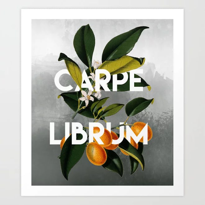 Seize the Book Art Print