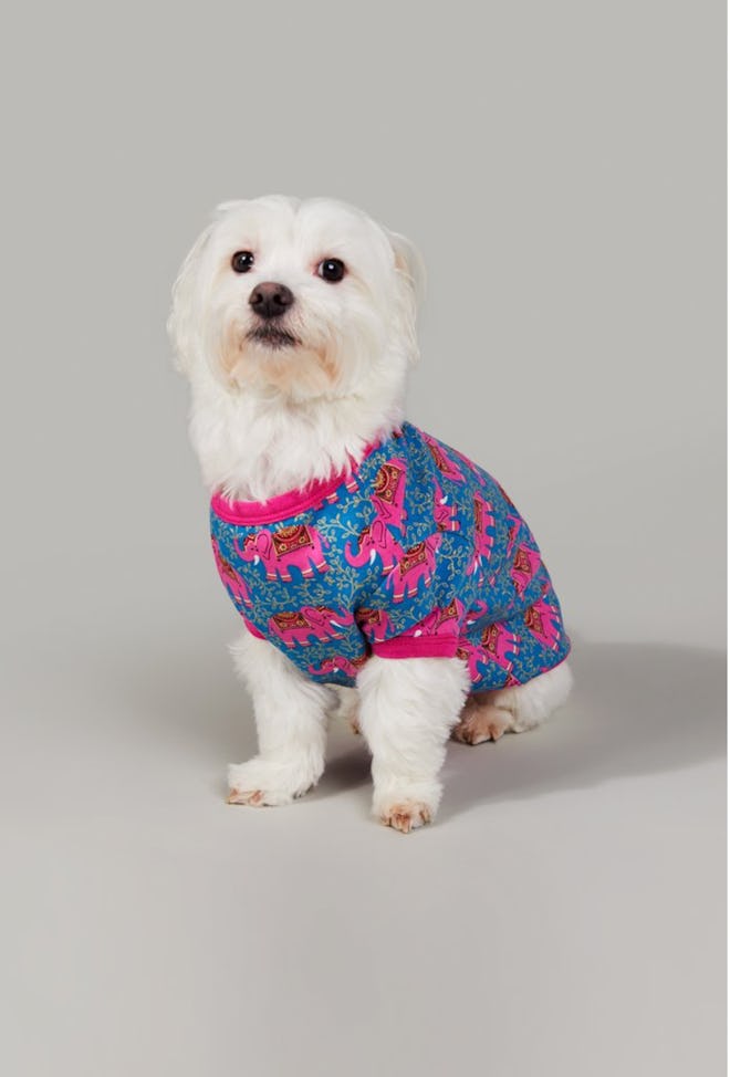 Royal Elephant Stretch Lounge Dog PJ