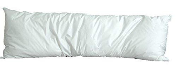 Pillowtex White Goose Down and Feather Body Pillow