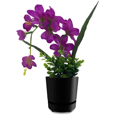 HBServices USA Self-Watering Pot, 6 Inches