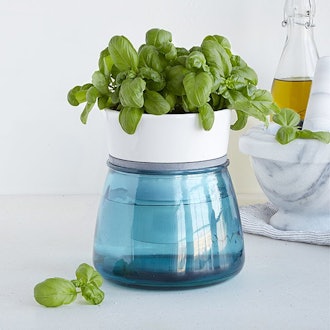 Self Watering Herb Pot