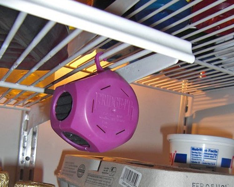 Innofresh Fridge-It Refrigerator Deodorizer