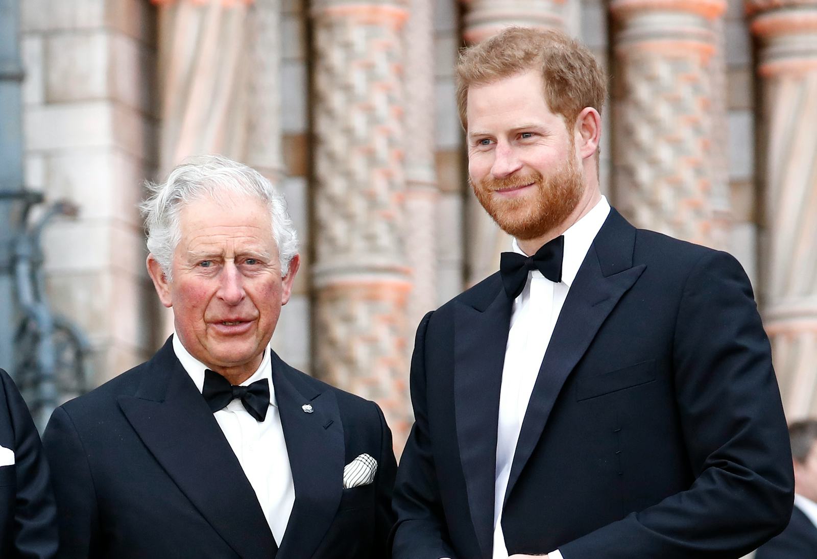 Prince Charles Met His Grandson Archie For The Very First Time ...