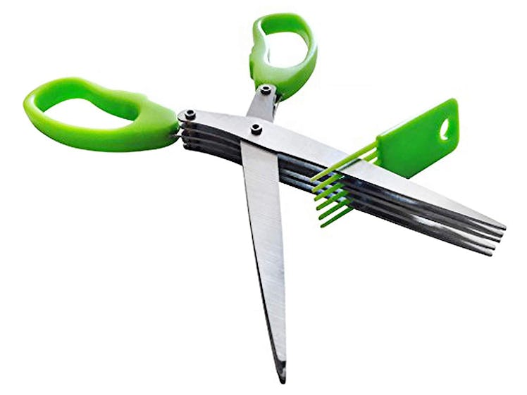Master Culinary Herb Scissors