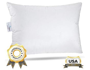 The 5 Best Goose Down Pillows