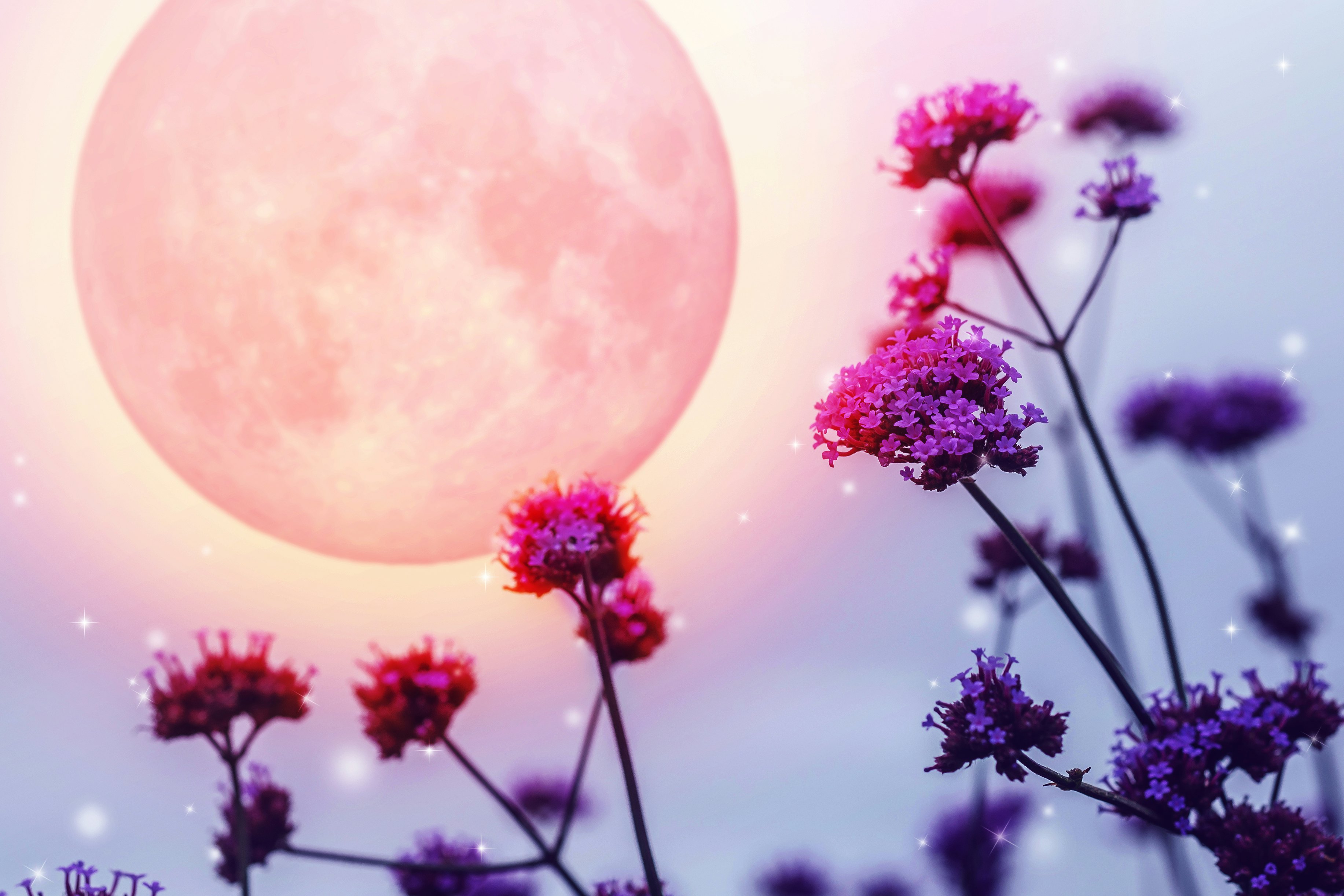 A Pink Moon Arrives On Friday April 19 Heres What It Means