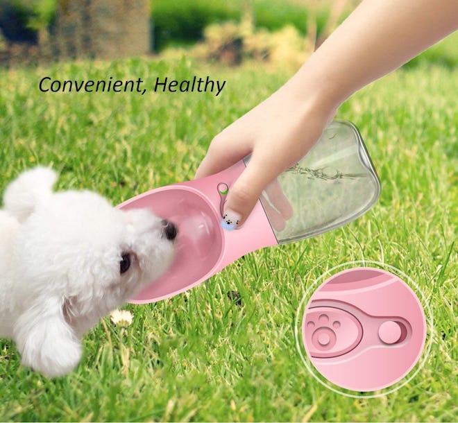 Brionac Dog Water Bottle