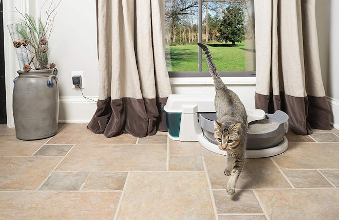 PetSafe Simply Clean Self-Cleaning Litter Box