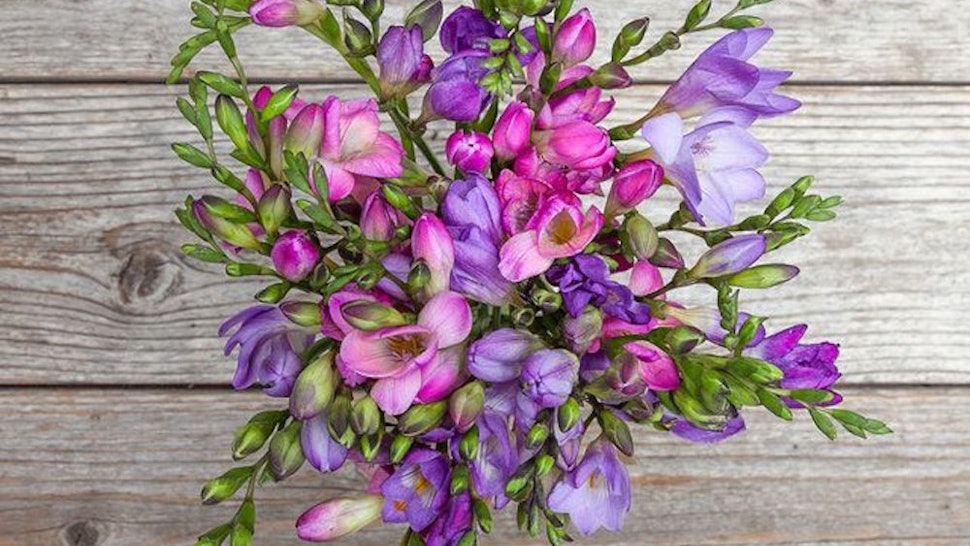 7 Flower Delivery Services For Mothers Day 2019 That Ship Quickly