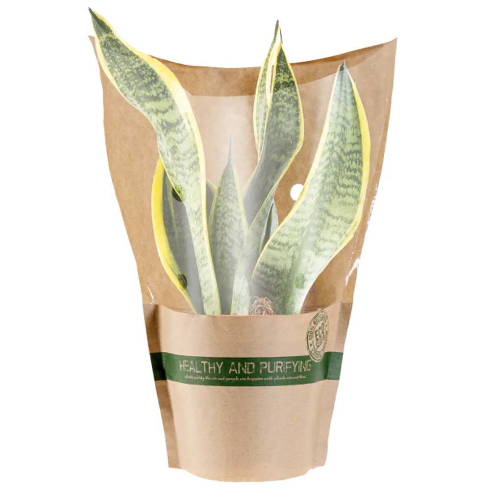 bio aloe vera shampoo ALOFAB Aloe Nourishing Shampoo main image 0