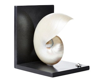 Nautilus Shell & Sterling-Silver Bookend