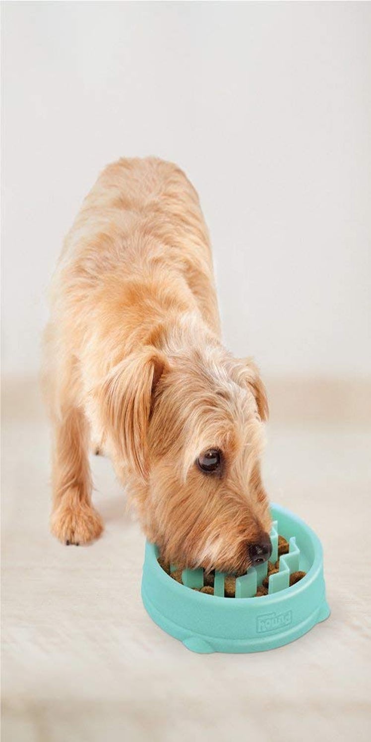 Outward Hound Slow-Feeder Bowl