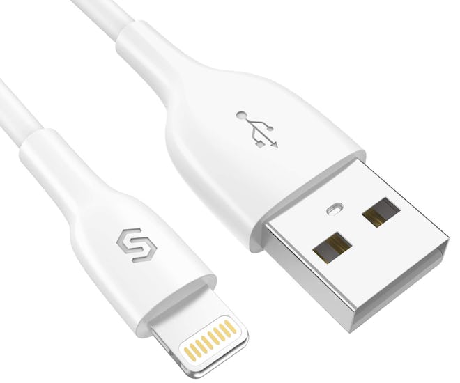 Syncwire iPhone Charger Lightning Cable, 3.3 Feet