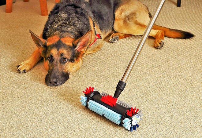 The Spotty Carpet and Tile Cleaning Brush