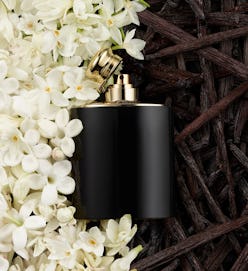 Ralph Lauren Woman Perfume