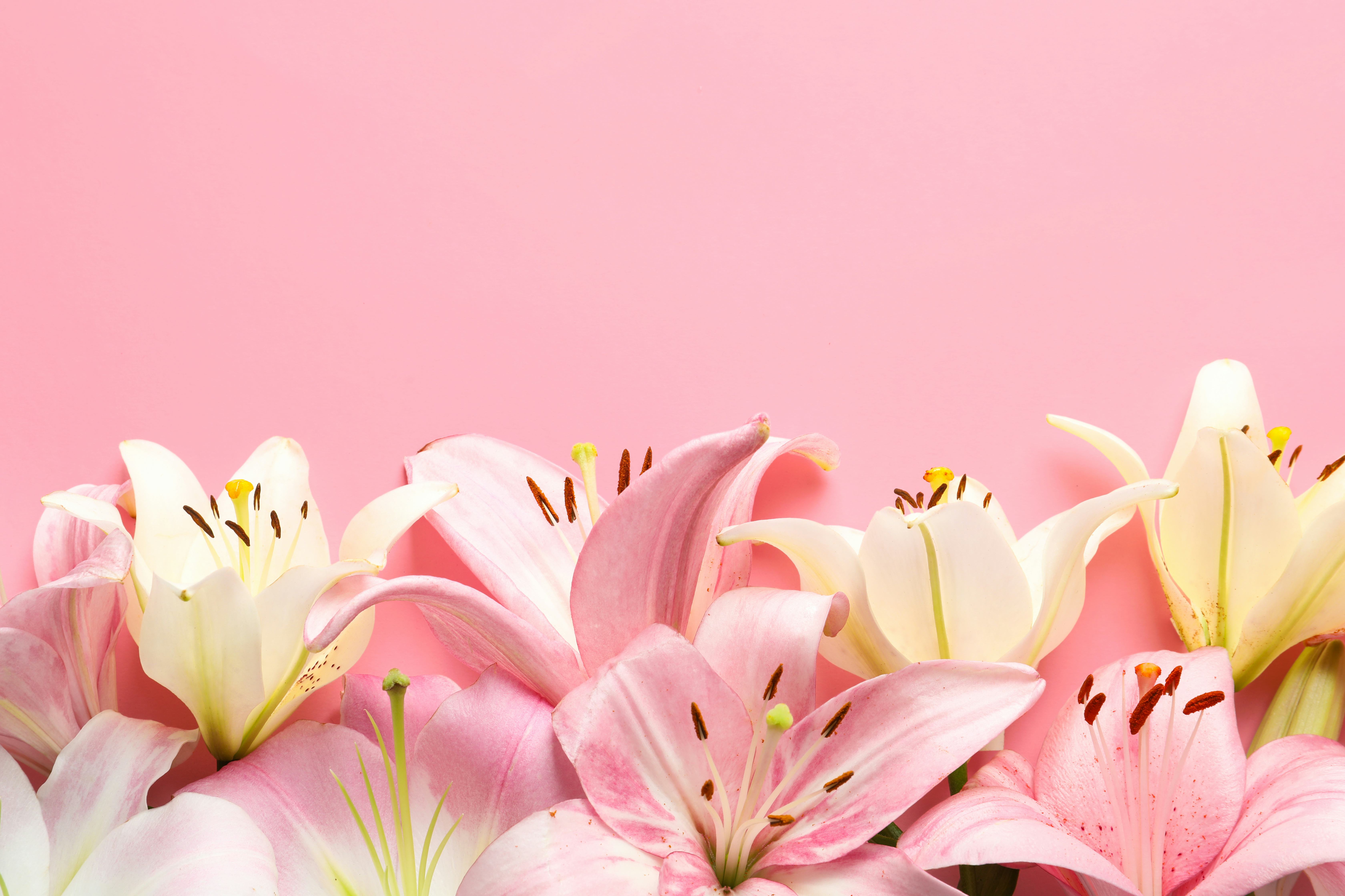 The Meaning Of Mother's Day Flowers, According To Experts