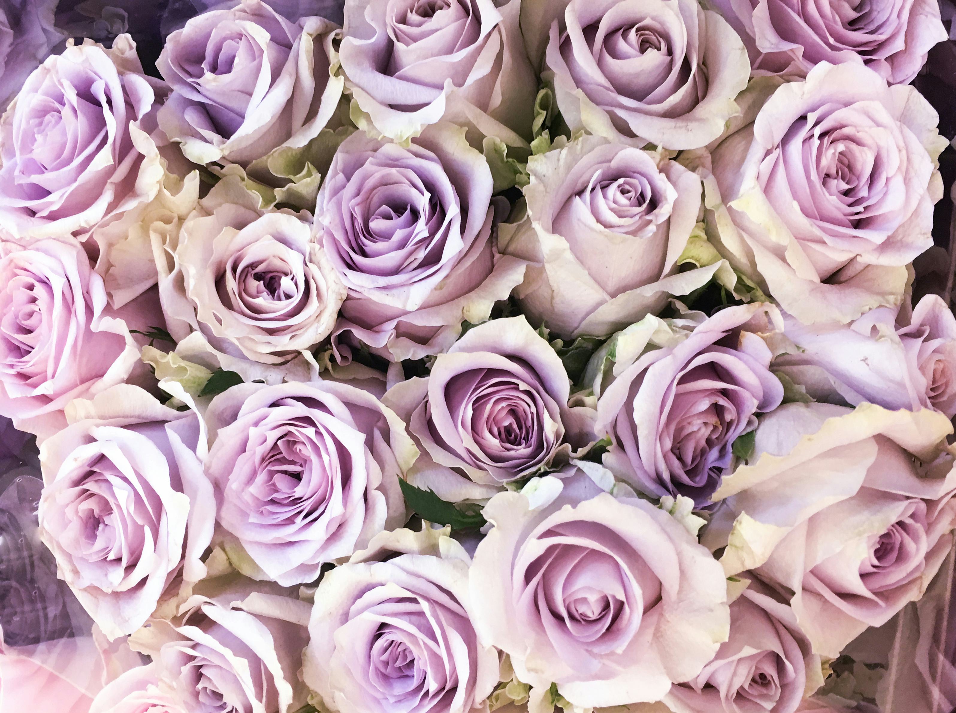 The Meaning Of Mother's Day Flowers, According To Experts