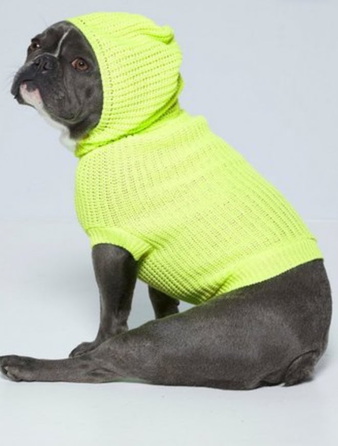 Neon Yellow Dog Hooded Jumper