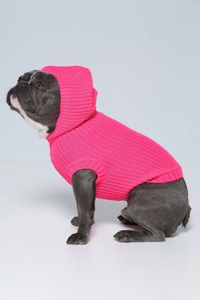 Neon Pink Hoody Dog Jumper