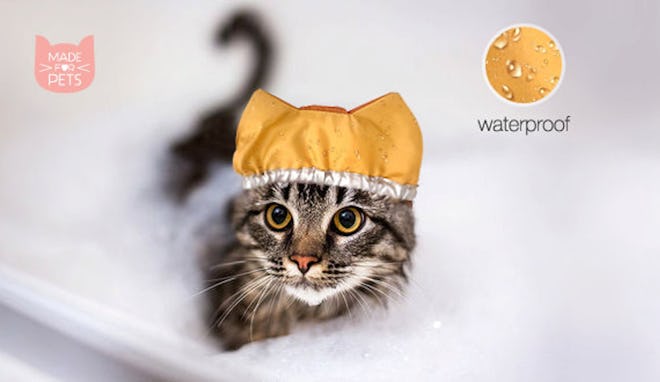 Shower Cap For Cat