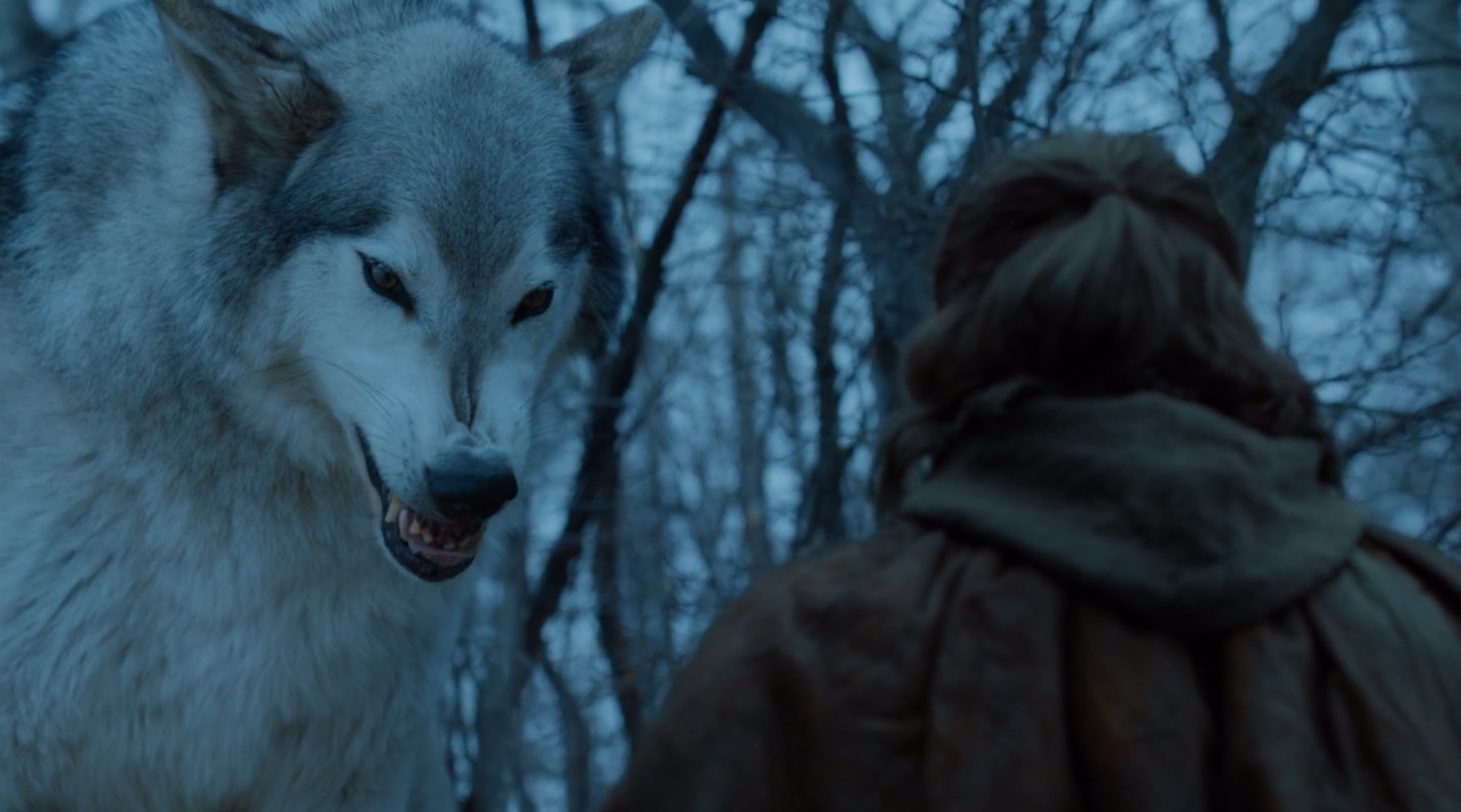 These Nymeria Reddit Theories Tease How The Game Of Thrones