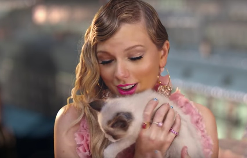 Taylor Swifts New Cat Already Has Fans Guessing Tv Related