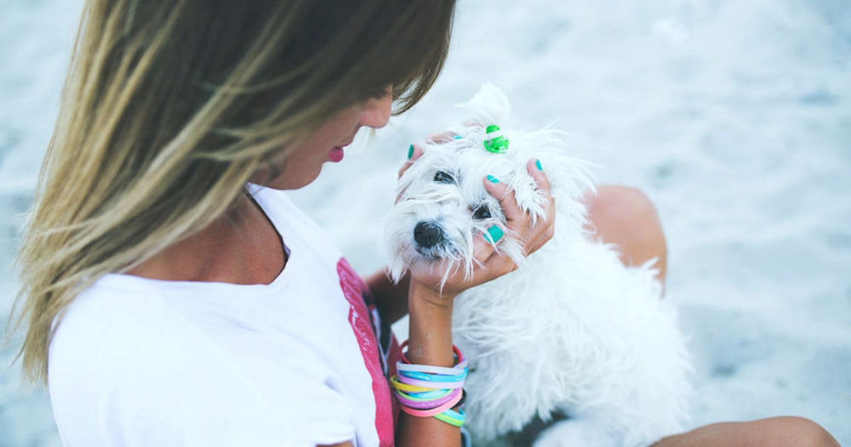 Get 28 Instagram Captions For Beach Pics With Your Dog Memories That Desktop Wallpaper Free Get Wallpaper 28 Instagram Captions For Beach Pics With Your Dog Memories That Desktop Wallpaper