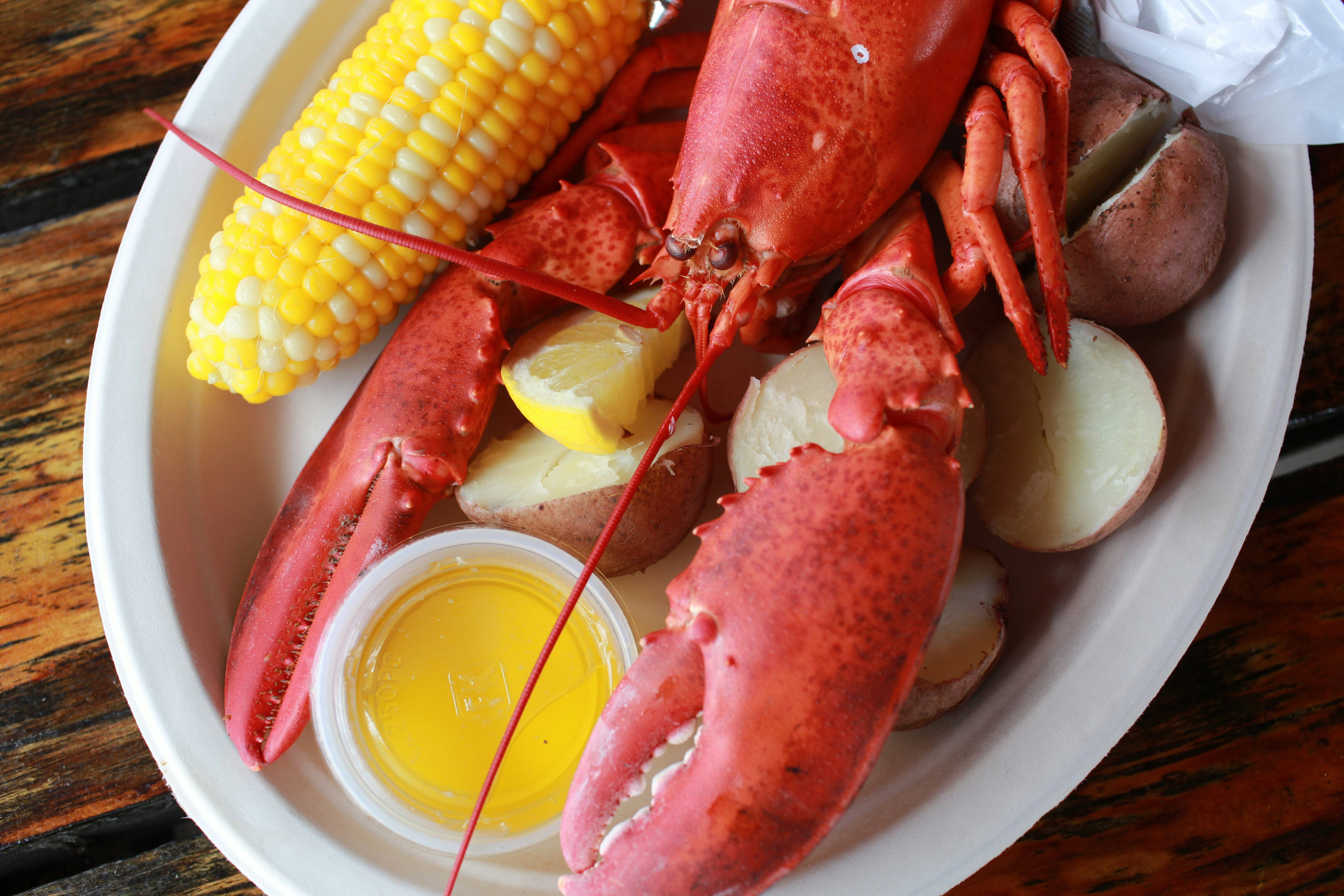 34 Instagram Captions For Lobster Dinners When You're Really On A Roll, image size:5760x3840