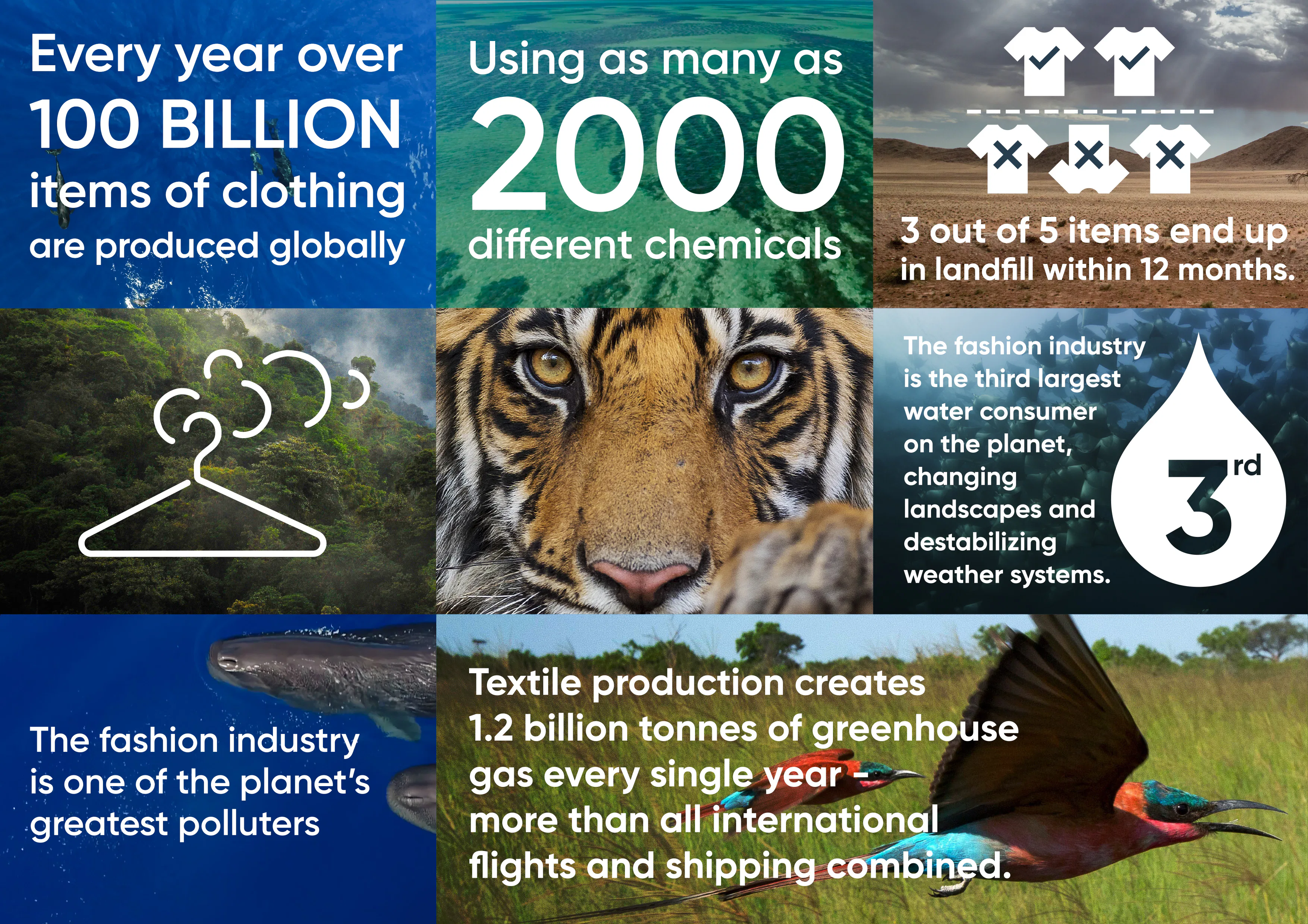 BBC Earth's Zero Waste T-Shirt Could Be The Solution To Fashion's ...