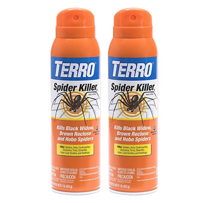 If you're looking for bug sprays for home to kill spiders, consider this spray that's effective on a...