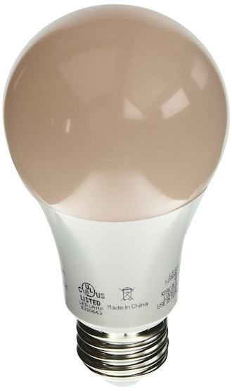 Lightning Science Household Light Bulbs