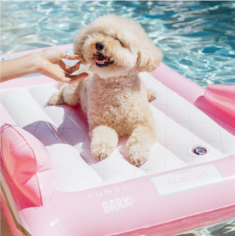 Convertible Dog Float