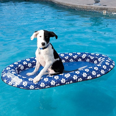 SwimWays Spring Float Paddle Paws Dog Pool Float
