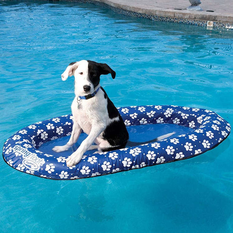 SwimWays Spring Float Paddle Paws Dog Pool Float