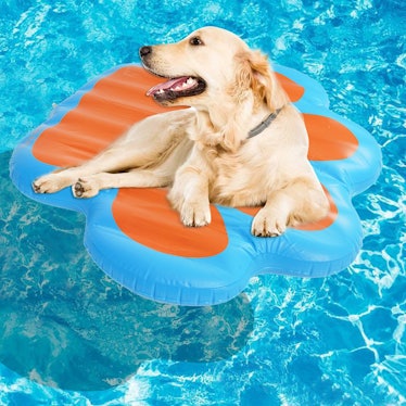 KOOLTAIL Paw Dog Pool Float
