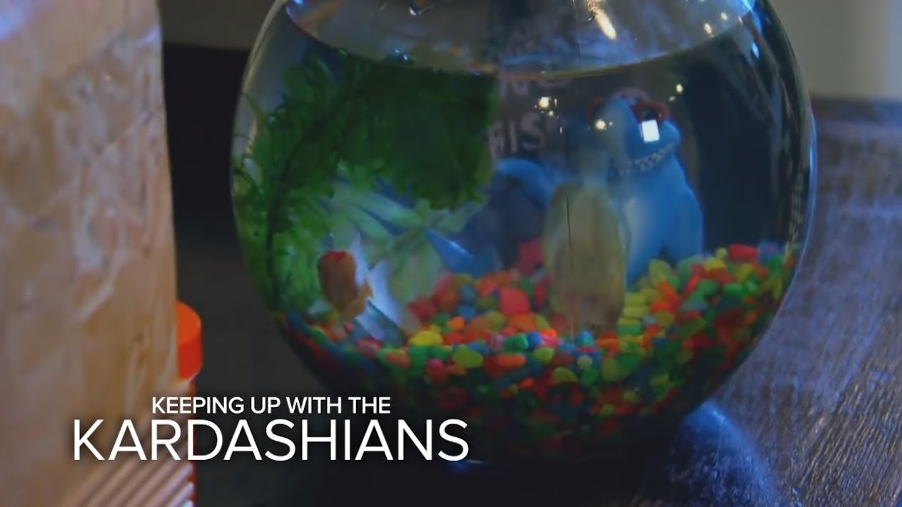 21 Hilarious Early Keeping Up With The Kardashians Moments You Totally Forgot About 3551