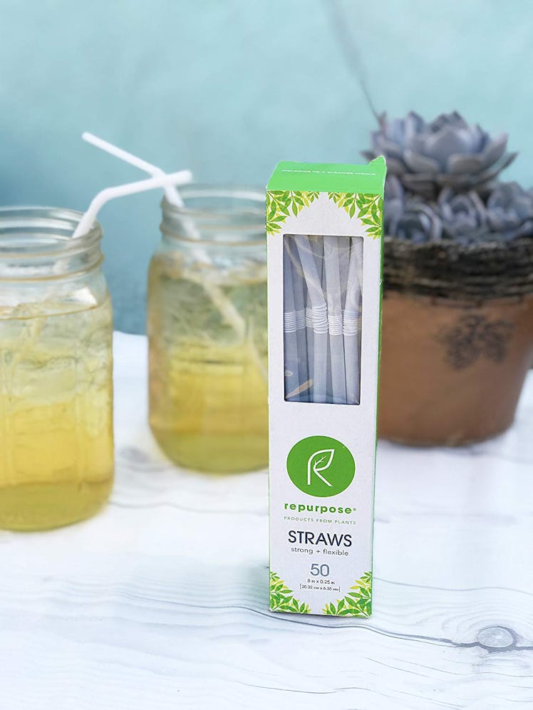 Repurpose Compostables Straws (2 Pack)