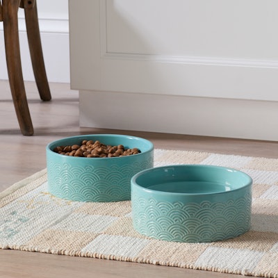 Aqua Etched Vintage Sun 8 inch Pet Bowl Set