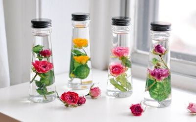 Study Of Roses Petite Herbarium
