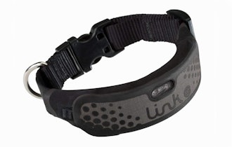 Link AKC Smart Dog Collar With GPS Tracker