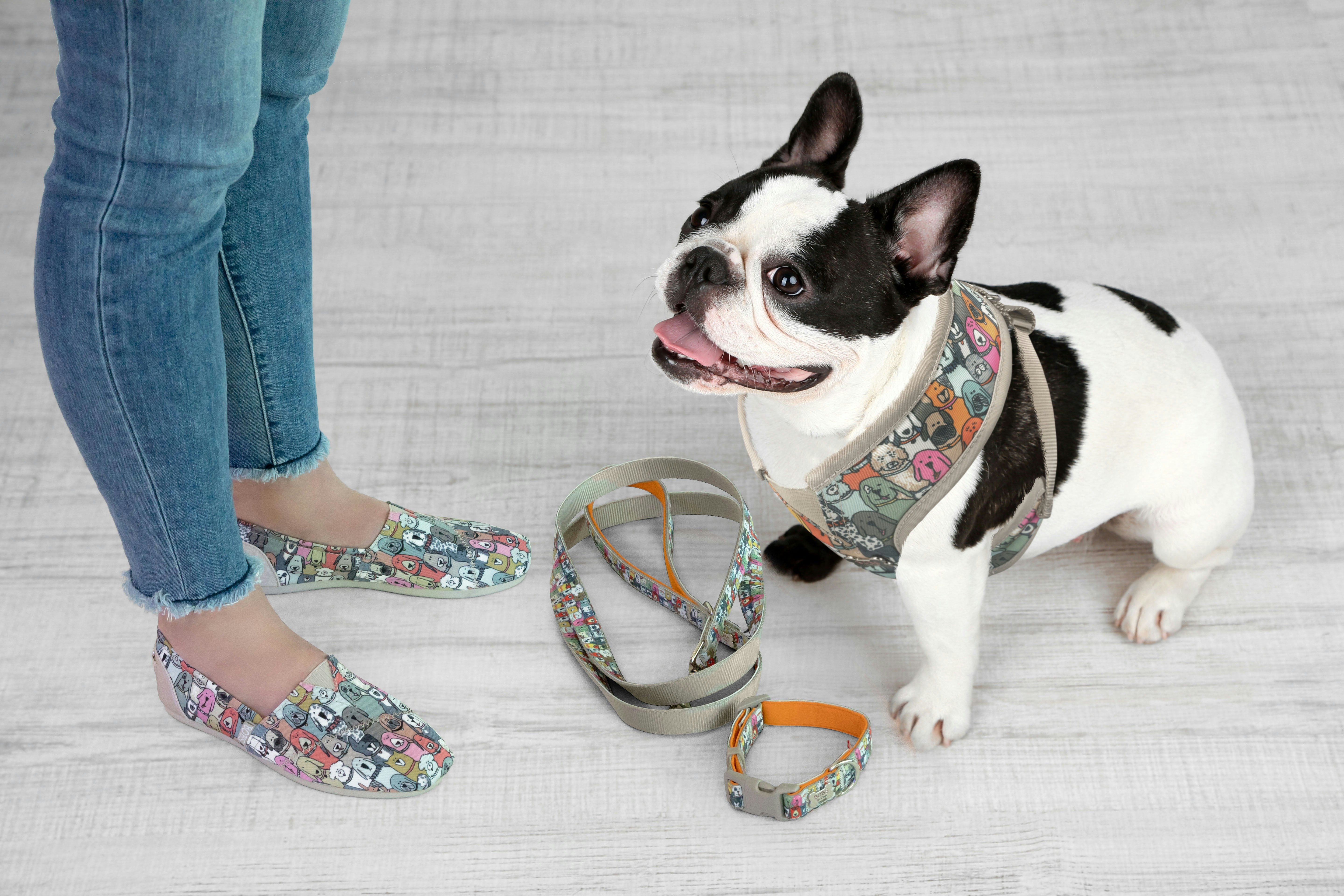 Where To Buy BOBS From Skechers x Petco 