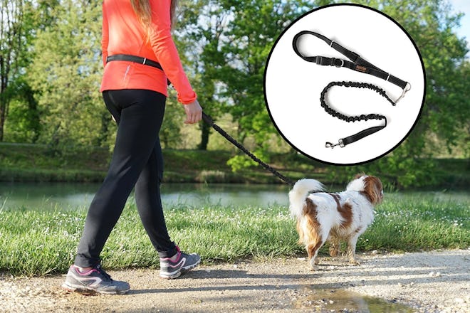 Mighty Paw Hands-Free Dog Leash