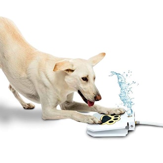 Trio Gato Outdoor Dog Pet Water Sprinkler