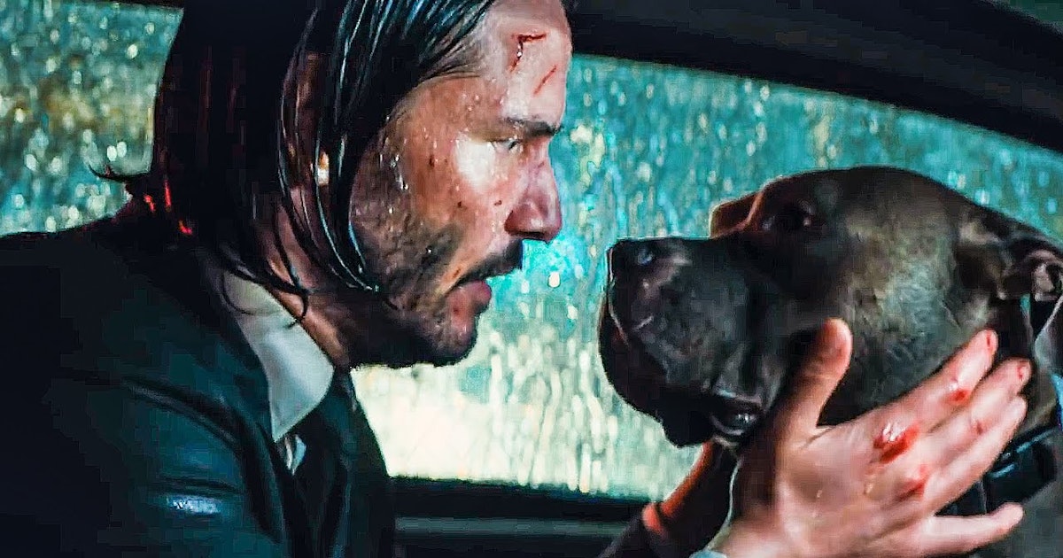 The Dogs In ‘John Wick Chapter 3’ Had A Special Working Relationship