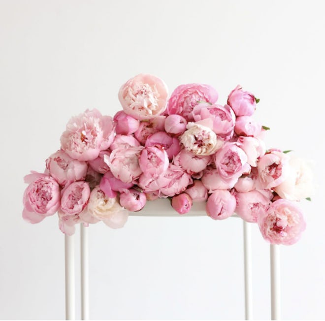 Peony 45 Stem Bundle