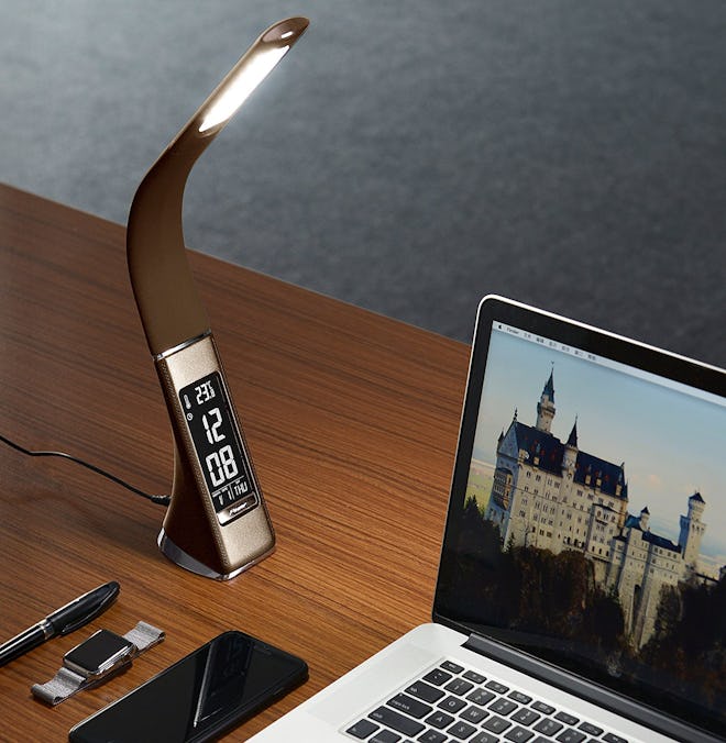 WILIT Business Leather Desk Lamp